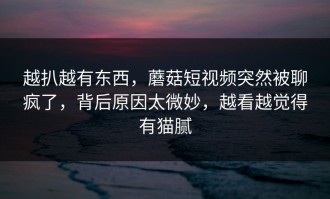 越扒越有东西，蘑菇短视频突然被聊疯了，背后原因太微妙，越看越觉得有猫腻