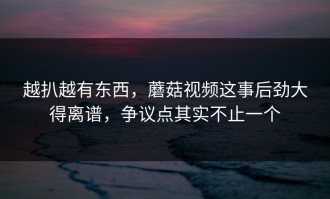 越扒越有东西，蘑菇视频这事后劲大得离谱，争议点其实不止一个