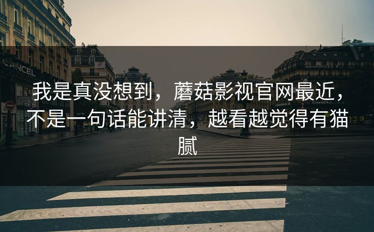 我是真没想到,蘑菇影视官网最近,不是一句话能讲清,越看越觉得有猫腻 我是真没想到,蘑菇影视官网最近,不是一句话能讲清,越看越觉得有猫腻