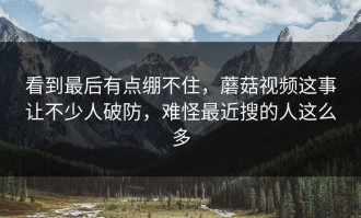 看到最后有点绷不住，蘑菇视频这事让不少人破防，难怪最近搜的人这么多