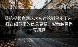 蘑菇视频官网这次被讨论到停不下来，藏在细节里的信息更猛，越看越觉得有猫腻