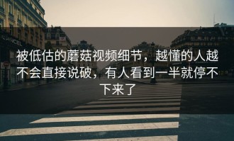 被低估的蘑菇视频细节，越懂的人越不会直接说破，有人看到一半就停不下来了