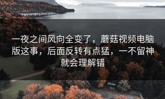 一夜之间风向全变了，蘑菇视频电脑版这事，后面反转有点猛，一不留神就会理解错