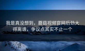 我是真没想到，蘑菇视频官网后劲大得离谱，争议点其实不止一个