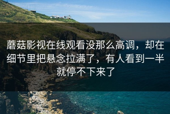 蘑菇影视在线观看没那么高调，却在细节里把悬念拉满了，有人看到一半就停不下来了