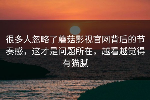 很多人忽略了蘑菇影视官网背后的节奏感，这才是问题所在，越看越觉得有猫腻