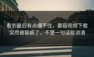 看到最后有点绷不住，蘑菇视频下载突然被聊疯了，不是一句话能讲清