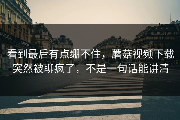 看到最后有点绷不住，蘑菇视频下载突然被聊疯了，不是一句话能讲清