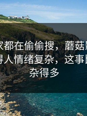 原来大家都在偷偷搜，蘑菇影视官网最近看得人情绪复杂，这事比表面复杂得多