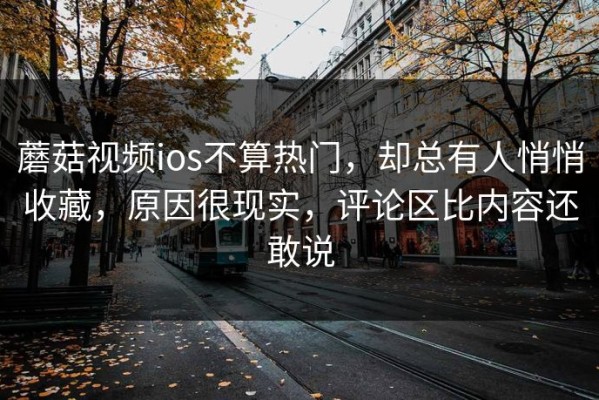 蘑菇视频ios不算热门，却总有人悄悄收藏，原因很现实，评论区比内容还敢说