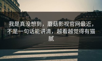 我是真没想到，蘑菇影视官网最近，不是一句话能讲清，越看越觉得有猫腻