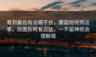 看到最后有点绷不住，蘑菇短视频这事，后面反转有点猛，一不留神就会理解错