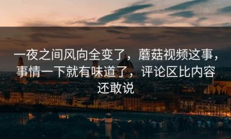 一夜之间风向全变了，蘑菇视频这事，事情一下就有味道了，评论区比内容还敢说
