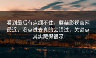 看到最后有点绷不住，蘑菇影视官网最近，没点进去真的会错过，关键点其实藏得很深