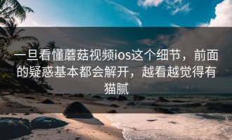 一旦看懂蘑菇视频ios这个细节，前面的疑惑基本都会解开，越看越觉得有猫腻