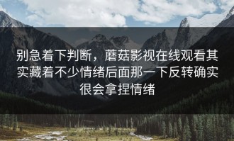 别急着下判断，蘑菇影视在线观看其实藏着不少情绪后面那一下反转确实很会拿捏情绪