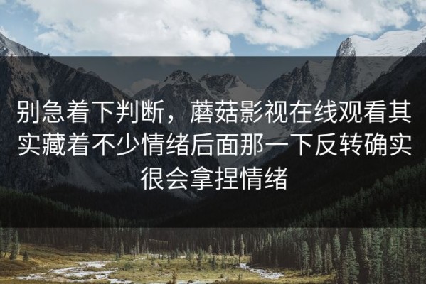 别急着下判断，蘑菇影视在线观看其实藏着不少情绪后面那一下反转确实很会拿捏情绪