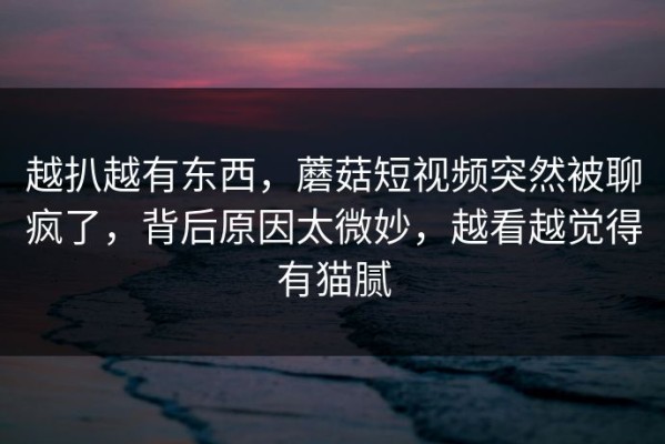 越扒越有东西，蘑菇短视频突然被聊疯了，背后原因太微妙，越看越觉得有猫腻