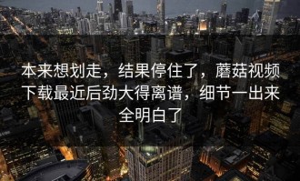本来想划走，结果停住了，蘑菇视频下载最近后劲大得离谱，细节一出来全明白了