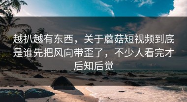 越扒越有东西，关于蘑菇短视频到底是谁先把风向带歪了，不少人看完才后知后觉