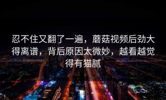 忍不住又翻了一遍，蘑菇视频后劲大得离谱，背后原因太微妙，越看越觉得有猫腻