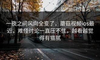 一夜之间风向全变了，蘑菇视频ios最近，难怪讨论一直压不住，越看越觉得有猫腻