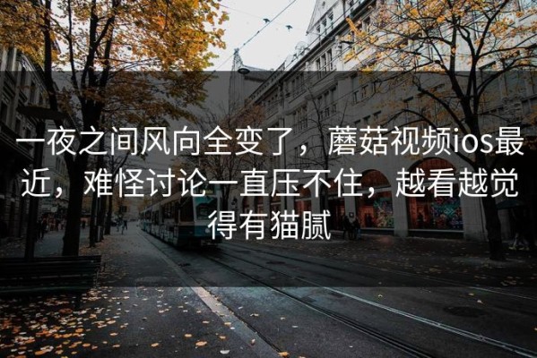 一夜之间风向全变了，蘑菇视频ios最近，难怪讨论一直压不住，越看越觉得有猫腻