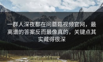 一群人深夜都在问蘑菇视频官网，最离谱的答案反而最像真的，关键点其实藏得很深