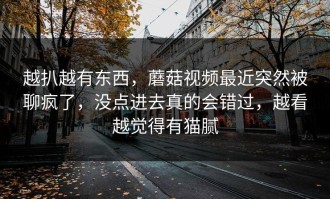 越扒越有东西，蘑菇视频最近突然被聊疯了，没点进去真的会错过，越看越觉得有猫腻