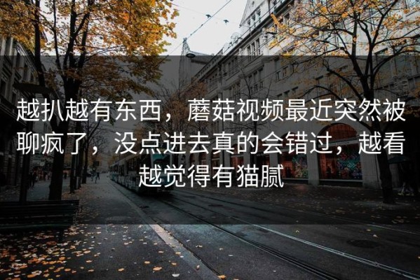 越扒越有东西，蘑菇视频最近突然被聊疯了，没点进去真的会错过，越看越觉得有猫腻