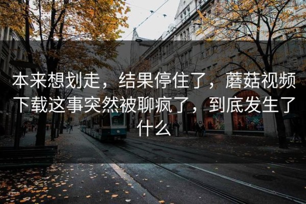 本来想划走，结果停住了，蘑菇视频下载这事突然被聊疯了，到底发生了什么