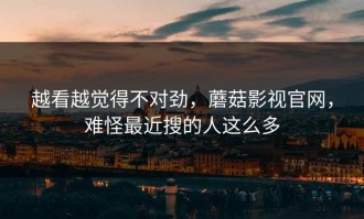 越看越觉得不对劲，蘑菇影视官网，难怪最近搜的人这么多