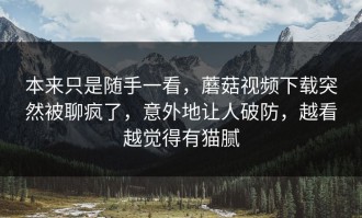 本来只是随手一看，蘑菇视频下载突然被聊疯了，意外地让人破防，越看越觉得有猫腻