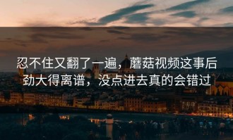 忍不住又翻了一遍，蘑菇视频这事后劲大得离谱，没点进去真的会错过