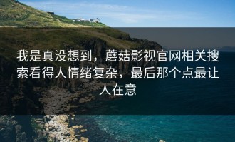 我是真没想到，蘑菇影视官网相关搜索看得人情绪复杂，最后那个点最让人在意
