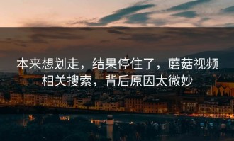 本来想划走，结果停住了，蘑菇视频相关搜索，背后原因太微妙