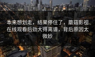 本来想划走，结果停住了，蘑菇影视在线观看后劲大得离谱，背后原因太微妙
