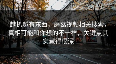 越扒越有东西，蘑菇视频相关搜索，真相可能和你想的不一样，关键点其实藏得很深