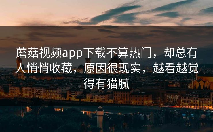 蘑菇视频app下载不算热门，却总有人悄悄收藏，原因很现实，越看越觉得有猫腻