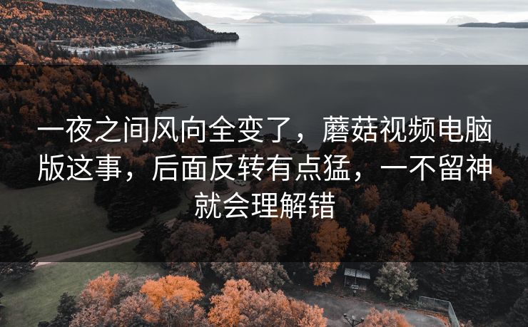 一夜之间风向全变了，蘑菇视频电脑版这事，后面反转有点猛，一不留神就会理解错