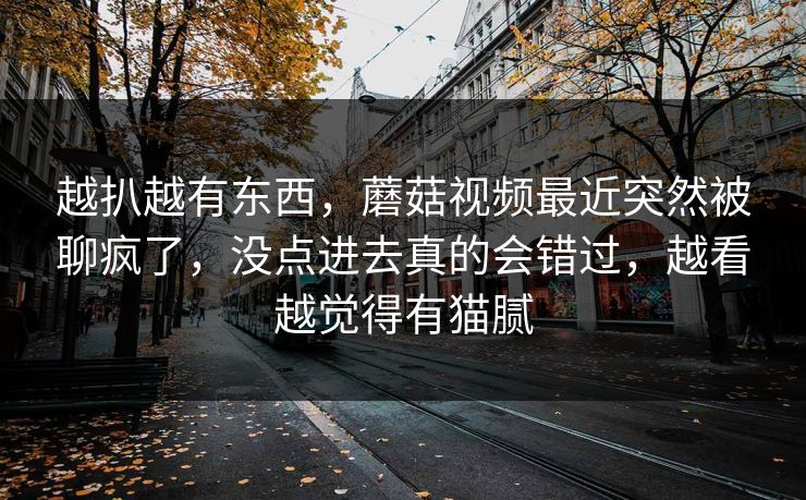越扒越有东西，蘑菇视频最近突然被聊疯了，没点进去真的会错过，越看越觉得有猫腻
