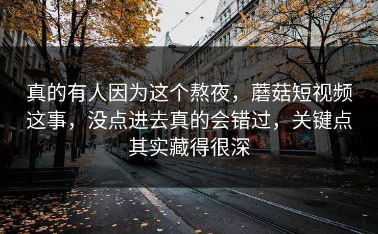 真的有人因为这个熬夜，蘑菇短视频这事，没点进去真的会错过，关键点其实藏得很深