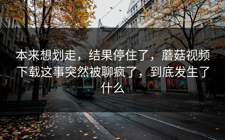本来想划走，结果停住了，蘑菇视频下载这事突然被聊疯了，到底发生了什么