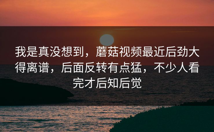 我是真没想到，蘑菇视频最近后劲大得离谱，后面反转有点猛，不少人看完才后知后觉