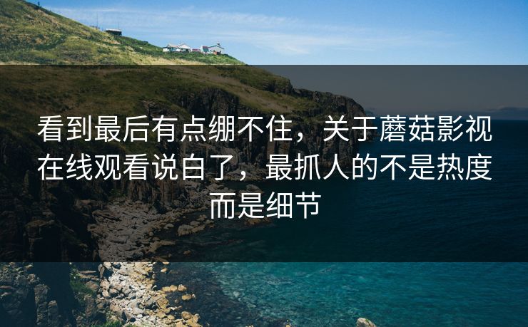 看到最后有点绷不住，关于蘑菇影视在线观看说白了，最抓人的不是热度而是细节