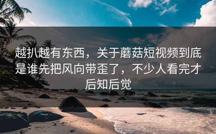 越扒越有东西，关于蘑菇短视频到底是谁先把风向带歪了，不少人看完才后知后觉
