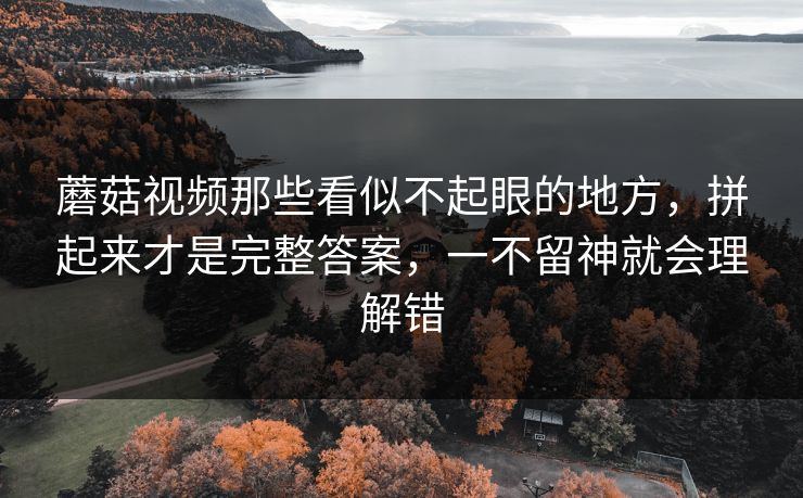 蘑菇视频那些看似不起眼的地方，拼起来才是完整答案，一不留神就会理解错