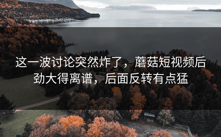 这一波讨论突然炸了,蘑菇短视频后劲大得离谱,后面反转有点猛 这一波讨论突然炸了,蘑菇短视频后劲大得离谱,后面反转有点猛