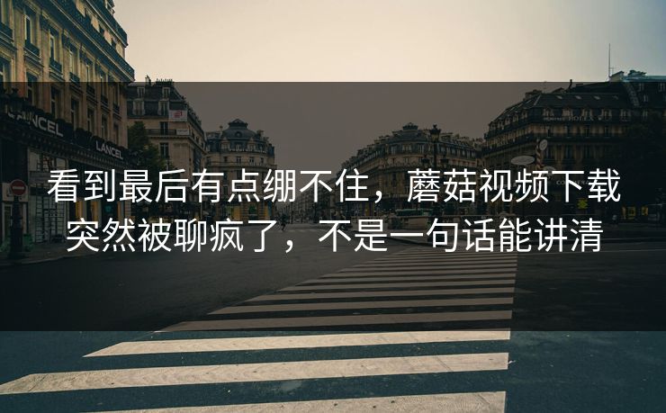 看到最后有点绷不住，蘑菇视频下载突然被聊疯了，不是一句话能讲清