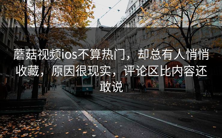 蘑菇视频ios不算热门,却总有人悄悄收藏,原因很现实,评论区比内容还敢说 蘑菇视频ios不算热门,却总有人悄悄收藏,原因很现实,评论区比内容还敢说